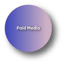 Paid Media Icon