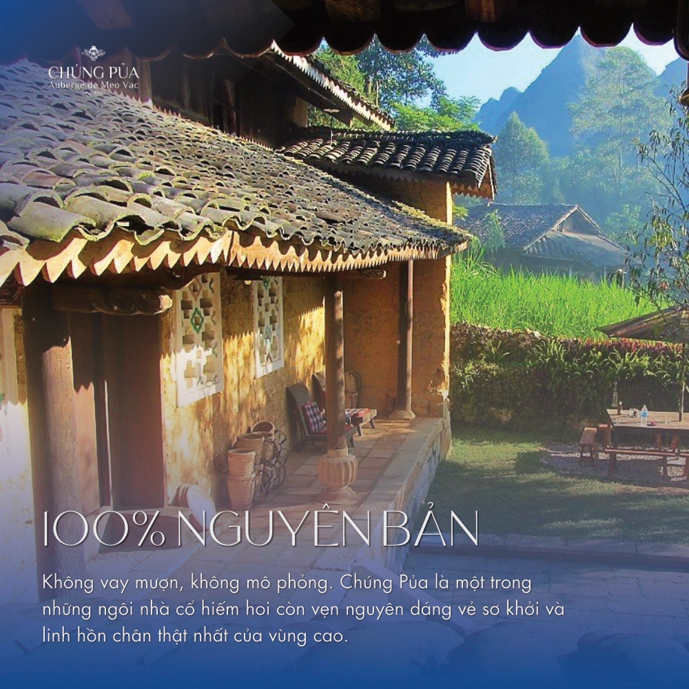 100% nguyên bản